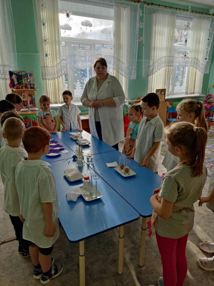 В детском саду отметили День российской науки.