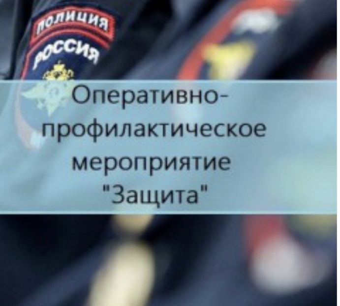 В период с 1 июня по 10 июня 2023 года на территории муниципального образования города Шиханы Саратовской области проходит оперативно-профилактическое мероприятие «Защита».