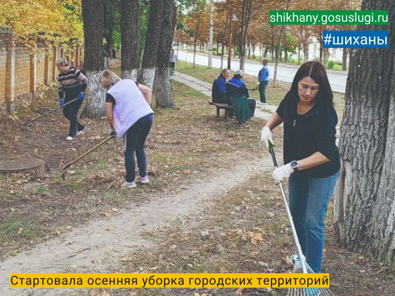 Стартовала осенняя уборка городских территорий.
