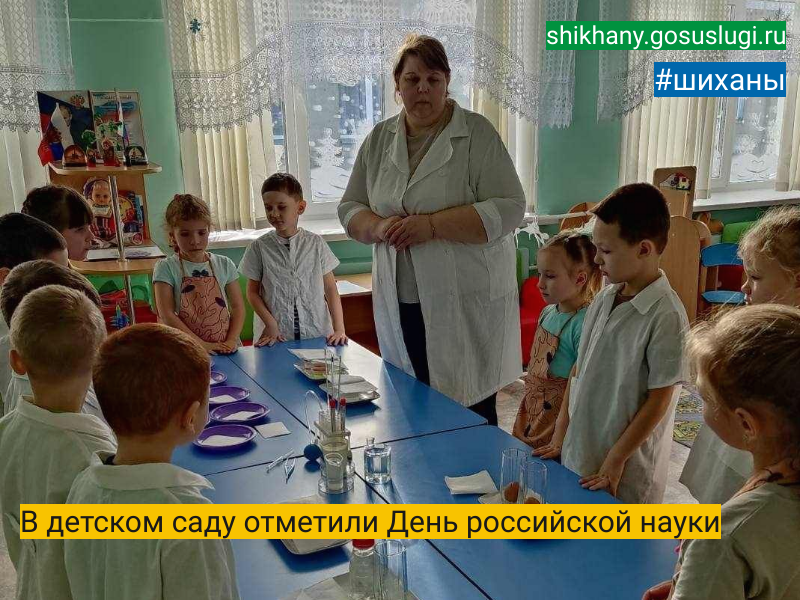 В детском саду отметили День российской науки.
