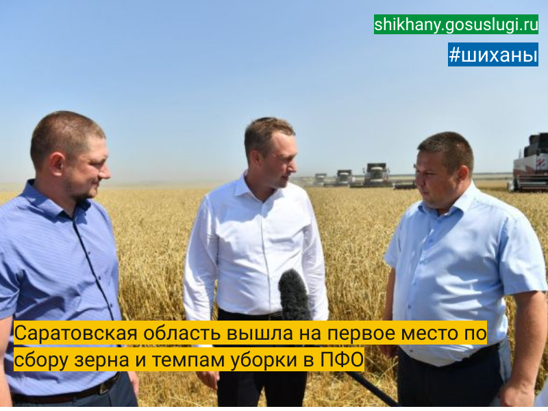 Саратовская область вышла на первое место по сбору зерна и темпам уборки в ПФО.