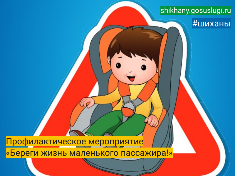 Профилактическое мероприятие «Береги жизнь маленького пассажира!».