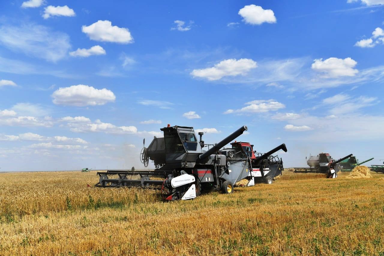В Саратовской области собрано 2 млн.тонн зерна..