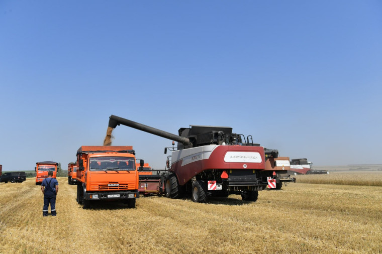 Саратовская область вышла на первое место по сбору зерна и темпам уборки в ПФО.
