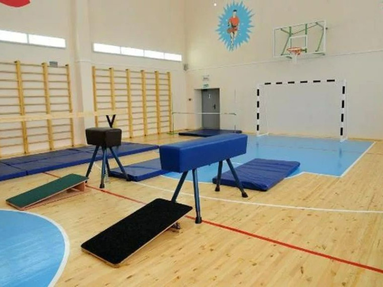 В Саратовской области сформируют программу по оснащению спортзалов в сельских школах.